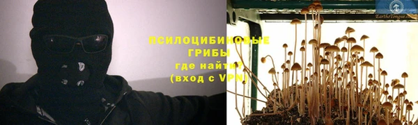 прущие грибы Волосово