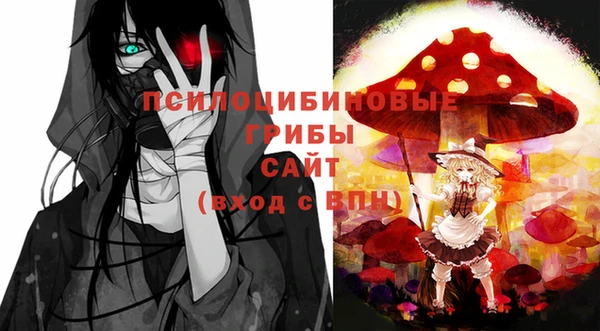 прущие грибы Волосово