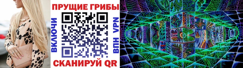 где можно купить наркотик  Джанкой  Галлюциногенные грибы GOLDEN TEACHER 